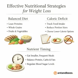 Effective Nutritional Strategies for Weight Loss